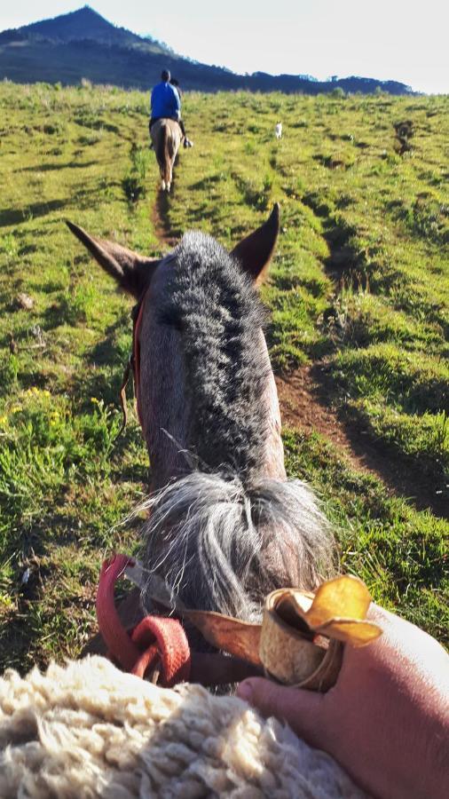Fazenda Invernada Grande Turismo Rural 봄 자르딤 다 세하 외부 사진
