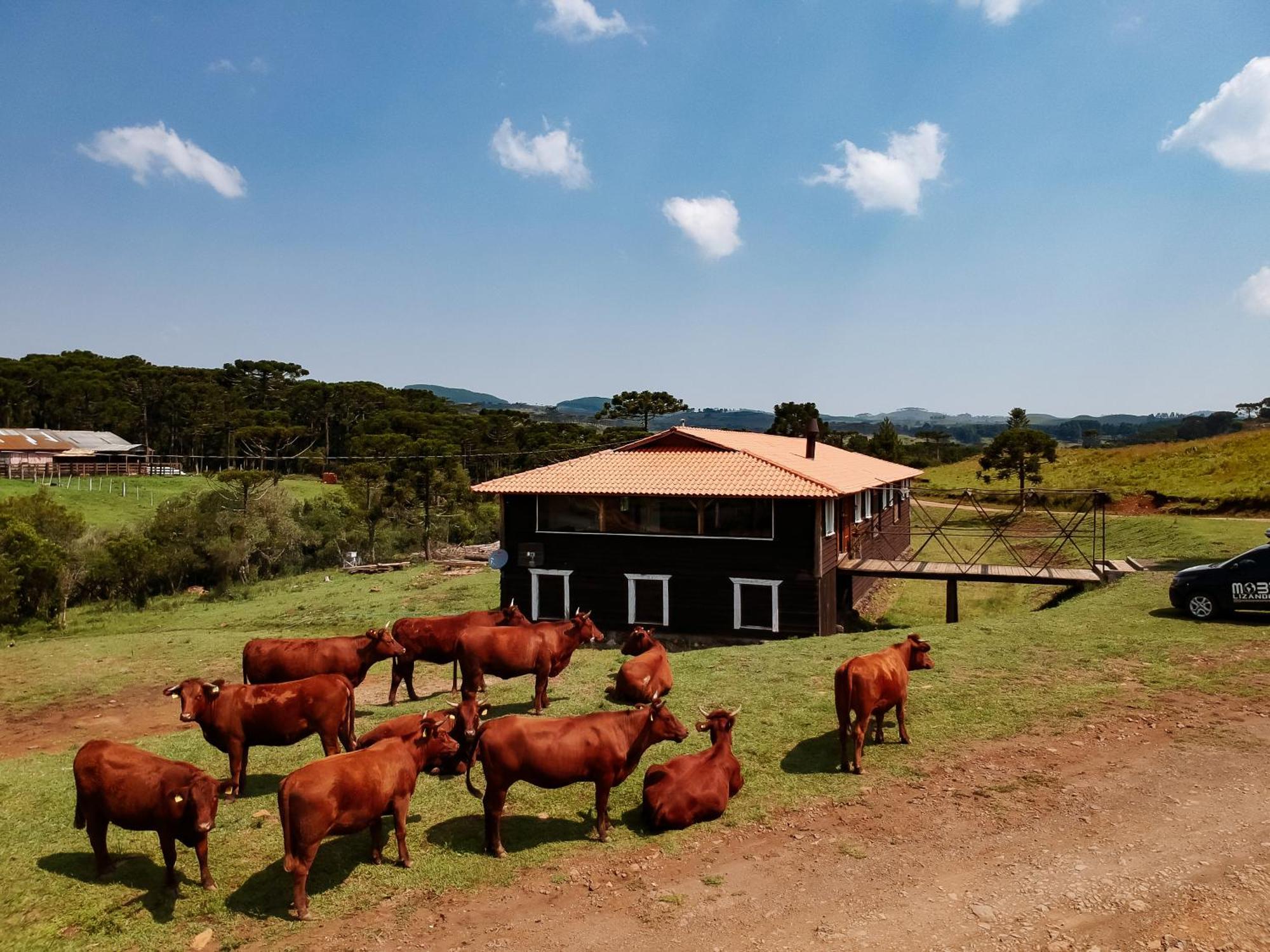 Fazenda Invernada Grande Turismo Rural 봄 자르딤 다 세하 외부 사진